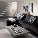 OZZIO ANCORA NOVITA'